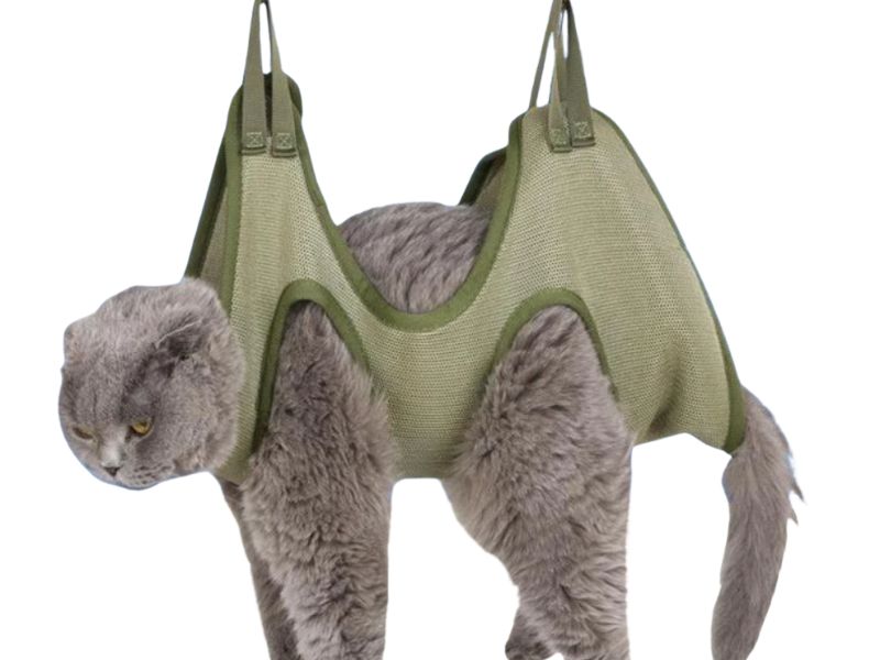 Maca suspensa para gatos.
