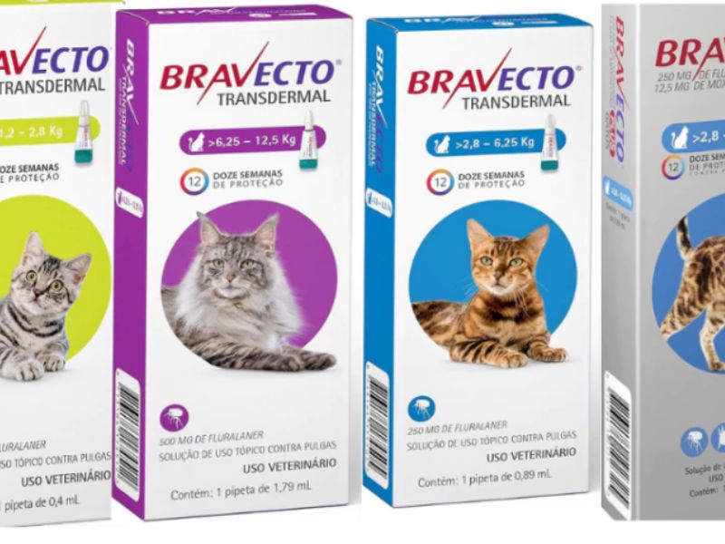 Bravecto Transdermal antipulgas e carrapatos para gatos.