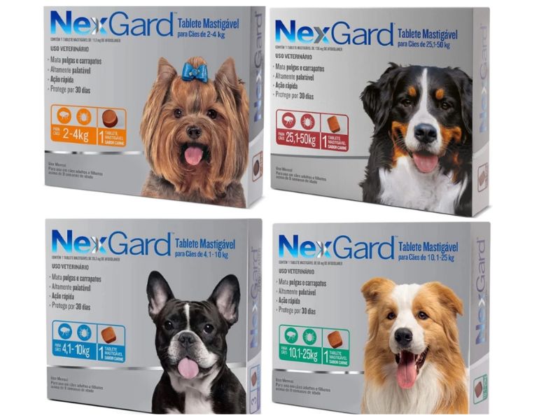 Nexgard comprimido para cachorros.